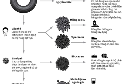 [Infographics] Tái chế và tái sử dụng lốp ô tô như thế nào?