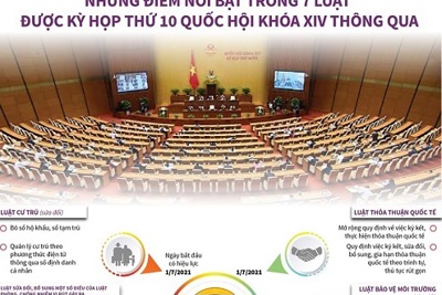 [Infographics] Những điểm nổi bật trong 7 Luật vừa được Quốc hội khóa XIV thông qua