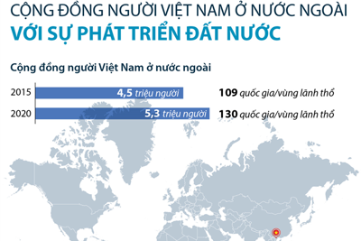 [Infographics] Cộng đồng người Việt Nam ở nước ngoài: Nguồn lực cho đất nước phát triển