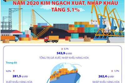 [Infographics] Năm 2020, kim ngạch xuất, nhập khẩu của Việt Nam tăng 5,1%