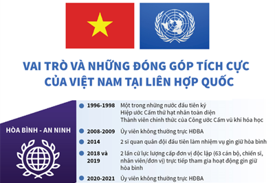 [Infographics] Vai trò và những đóng góp tích cực của Việt Nam tại Liên hợp quốc
