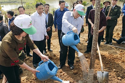 Vietcombank đồng hành cùng Chương trình "Vì một Việt Nam xanh"