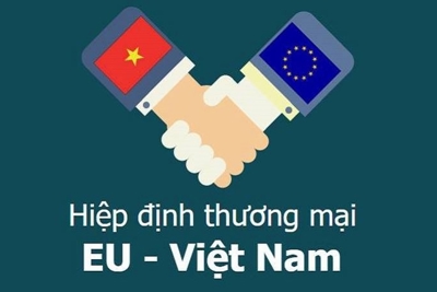 Việt Nam cần làm gì trong môi trường EVFTA?