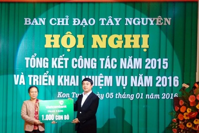Vietcombank tặng thêm 1.000 con bò cho đồng bào Tây Nguyên 