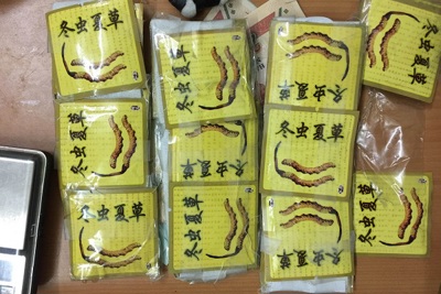 Hải quan Quảng Ninh: Phối hợp bắt giữ vụ vận chuyển 90g ma túy Hải quan Quảng Ninh: Phối hợp bắt giữ vụ vận chuyển 90g ma túy