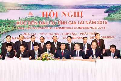 Vietcombank: Chung tay phát triển kinh tế - xã hội tỉnh Gia Lai