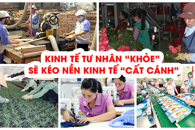 Kinh tế tư nhân Việt Nam: Động lực phát triển và những kỳ vọng mới 