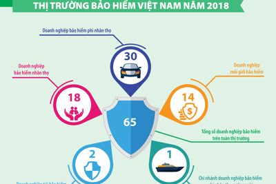 [Infographic] Bảo hiểm xã hội Việt Nam năm 2018