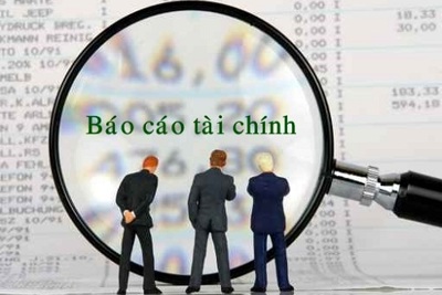 Hướng dẫn lập Báo cáo tài chính nhà nước