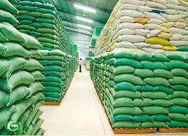 Tổng cục Dự trữ Nhà nước triển khai mua thóc, gạo dự trữ quốc gia