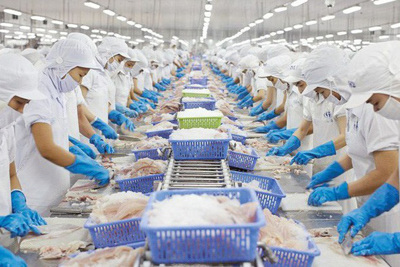 CPTPP tác động mạnh vào xuất khẩu của Việt Nam 