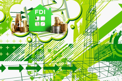Thu hút FDI "xanh" gắn với mục tiêu phát triển bền vững