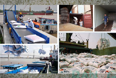 Tổng cục Hải quan tạo điều kiện tối đa trong kiểm tra gạo xuất khẩu