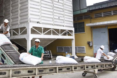 Tổng cục Hải quan loại 161 tờ khai của 22 doanh nghiệp không có gạo tại cảng