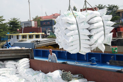 Bộ Công Thương báo cáo Thủ tướng phương án xuất khẩu gạo tháng 5