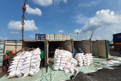 Cập nhật số liệu hạn ngạch hồi lại từ việc hủy tờ khai xuất khẩu gạo