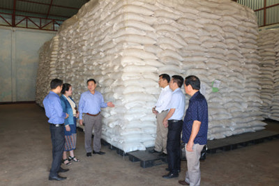 Tăng cường giám sát chặt việc đấu thầu gạo dự trữ quốc gia đợt 2