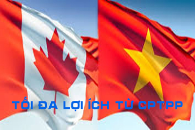 Việt Nam-Canada thúc đẩy hợp tác, tận dụng tối đa lợi ích từ CPTPP
