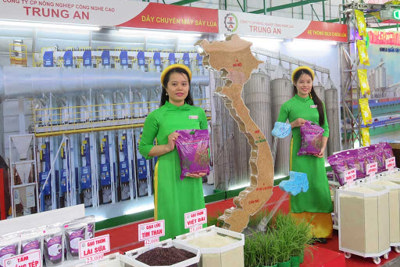 Reuters: Giá gạo xuất khẩu Việt Nam đang cao hơn gạo Ấn Độ gần 100 USD/tấn