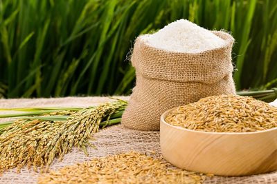 Việt Nam có cơ hội lớn để vượt qua Thái Lan về xuất khẩu gạo toàn cầu