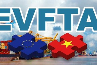 Cam kết mở cửa thị trường hàng hóa của Việt Nam trong EVFTA