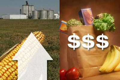 Chỉ số giá lương thực thế giới tăng lần đầu tiên trong năm 2020