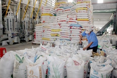 Giá trị xuất khẩu gạo 6 tháng tăng gần 18% so với cùng kỳ năm ngoái