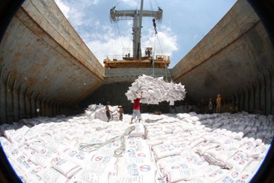 Xuất khẩu gạo Việt Nam sang thị trường châu Phi tiếp tục tăng