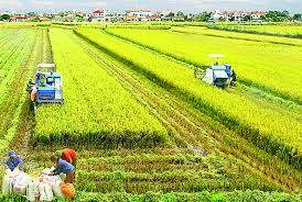 Tháo gỡ kịp thời các chính sách góp phần xây dựng nền nông nghiệp thịnh vượng