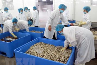 Thêm 3 loại thủy sản của Việt Nam được phép xuất khẩu vào Trung Quốc