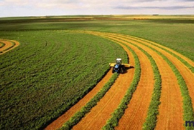 Miễn, giảm thuế sử dụng đất nông nghiệp: Hỗ trợ trực tiếp tới người nông dân