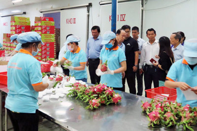 70% doanh nghiệp Hong Kong chọn Việt Nam để mở nhà máy ở Đông Nam Á