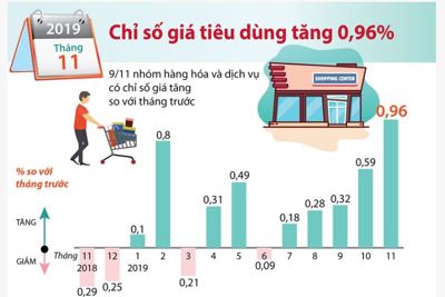[Infographics] Chỉ số giá tiêu dùng tháng 11 năm 2019 tăng 0,96%