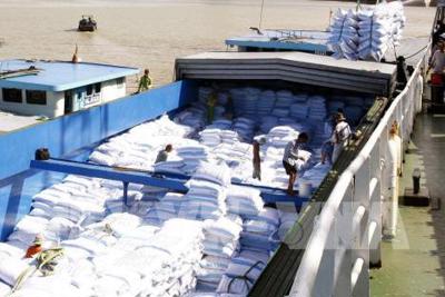 Xuất khẩu hàng hóa của Đồng Tháp vượt mốc 1 tỷ USD