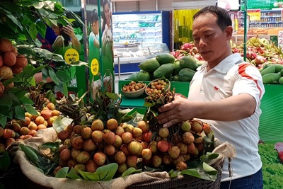 Cảnh báo nông sản Việt Nam sụt giảm giá