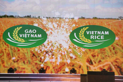 Lan tỏa thương hiệu Gạo Việt Nam