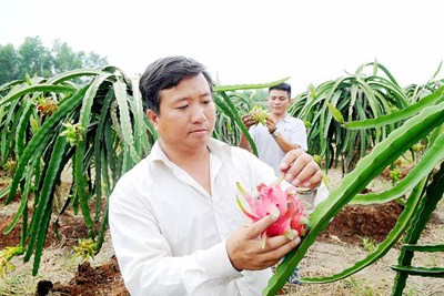 Việt Nam xuất khẩu chính ngạch nông sản vào thị trường khó tính