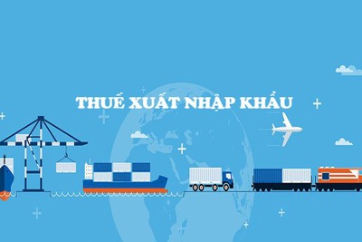 Thuế xuất khẩu, thuế nhập khẩu ở Việt Nam: Thực tiễn và giải pháp