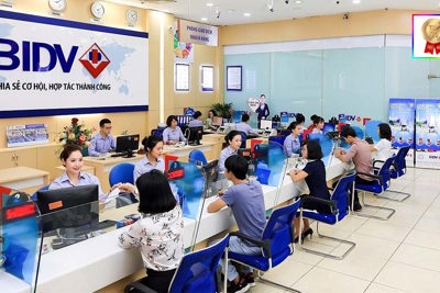 Yếu tố ảnh hưởng đến hoạt động vay vốn của các doanh nghiệp FDI tại BIDV Đồng Nai    