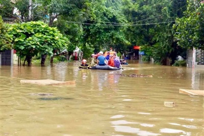 Thủ tướng chỉ đạo khắc phục hậu quả mưa lũ tại các tỉnh miền núi và trung du Bắc Bộ