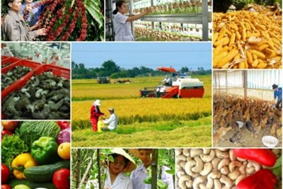 Sẽ có thêm “ân hạn” đối với chính sách tín dụng phát triển nông nghiệp, nông thôn?