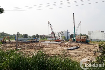 Cẩn trọng với những dự án “cầm đèn chạy trước ô tô” 