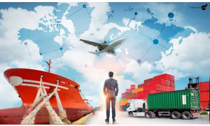 Gian lận hồ sơ, đại lý làm thủ tục hải quan sẽ bị chấm dứt hoạt động