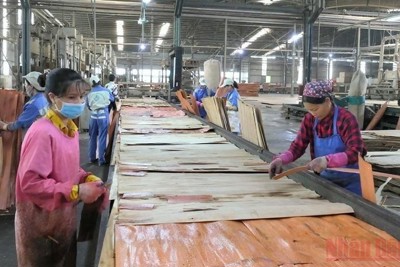 Hà Giang tăng trưởng tổng sản phẩm cao nhất trong vòng 5 năm