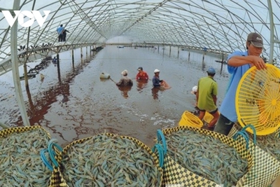 Đến năm 2030, sản lượng nuôi trồng thủy sản đạt 7,0 triệu tấn/năm