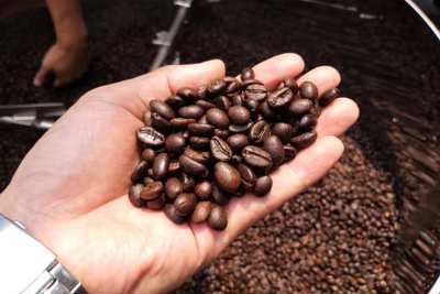 Mở rộng thị trường, xuất khẩu cà phê dự báo cán đích 4 tỷ USD