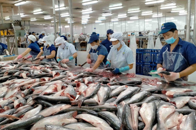 Xuất khẩu cá tra sang CPTPP tăng trưởng 3 con số