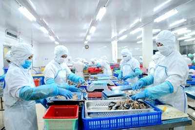 Bà Rịa-Vũng Tàu: Số doanh nghiệp thành lập mới tăng 53% so với cùng kỳ