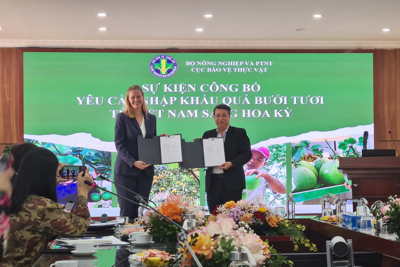 Hoa Kỳ chính thức mở cửa cho quả bưởi tươi Việt Nam