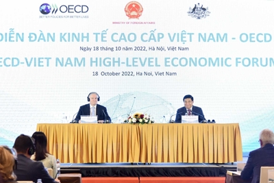 Diễn đàn kinh tế cao cấp Việt Nam – OECD: Cơ hội để Việt Nam nắm bắt những ý tưởng mới